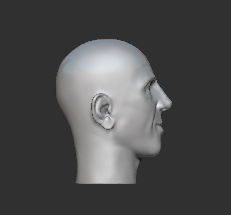 Head 3 3D print model_4