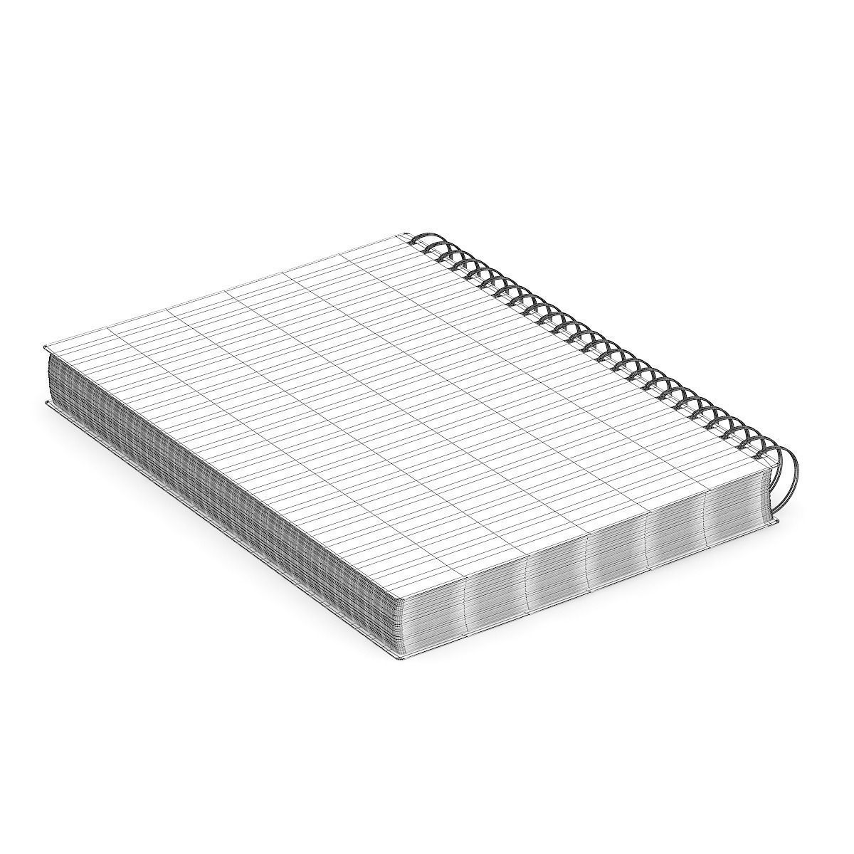 Notebook 1 spiral 3D model_3