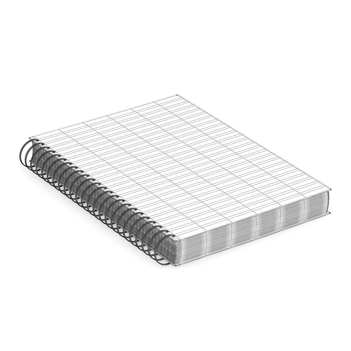 Notebook 1 spiral 3D model_1