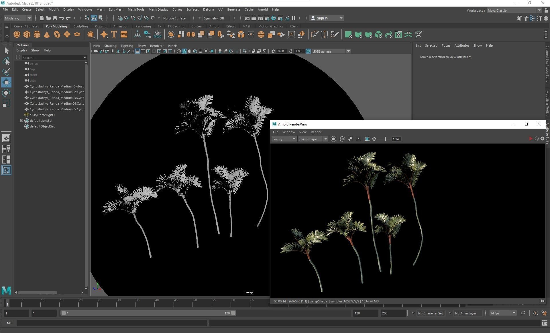 New Plant High detail Cyrtostachys Renda Medium 3D model_6