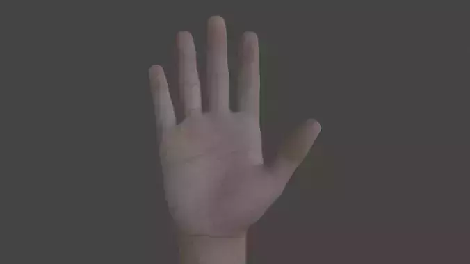 HAND-036 Counting Animation Low-poly 3D model