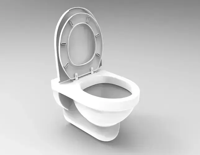 Commode toilet