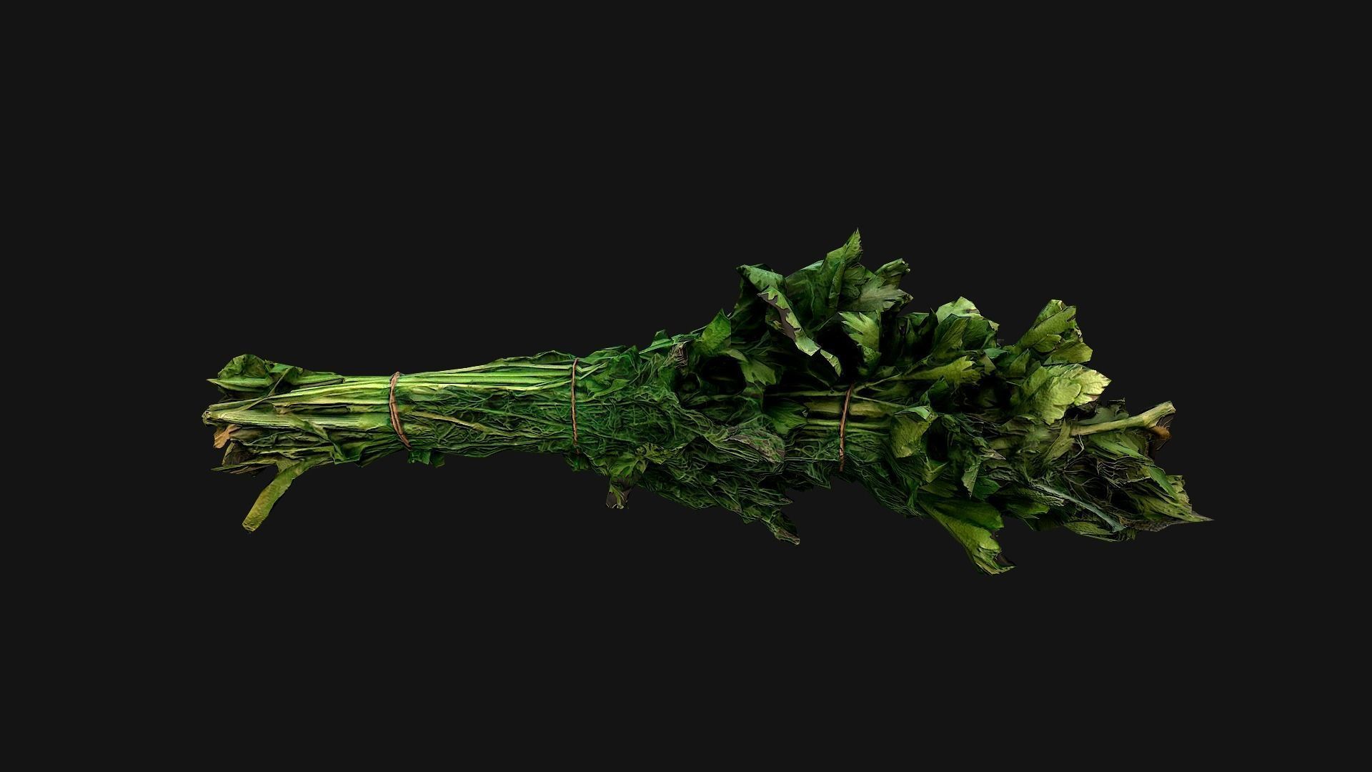 Dill Parsley Onion Green Low-poly 3D model_12