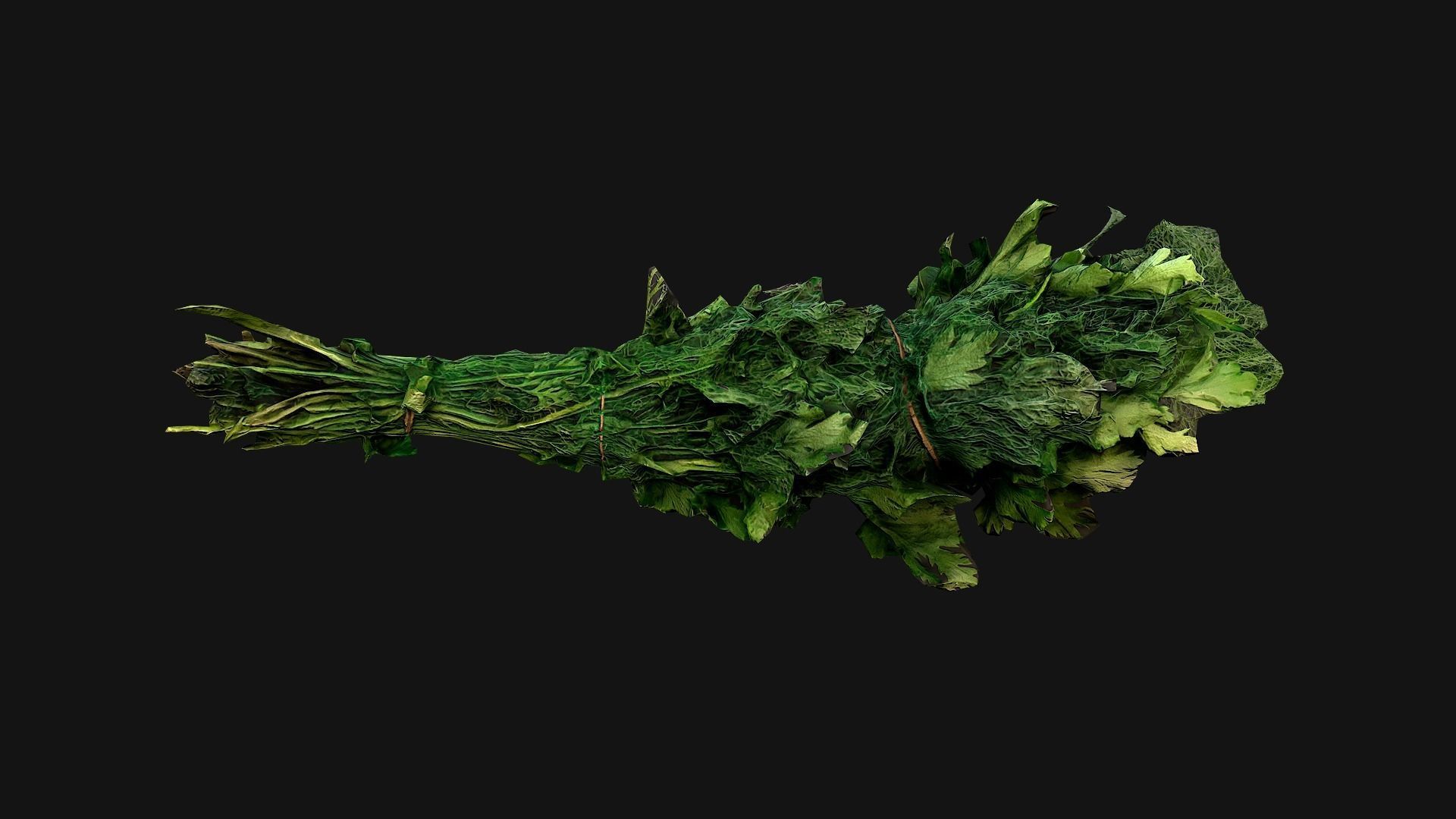 Dill Parsley Onion Green Low-poly 3D model_8