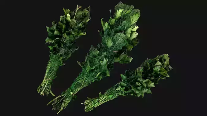 Dill Parsley Onion Green Farm Village Food Low-poly 3D model
