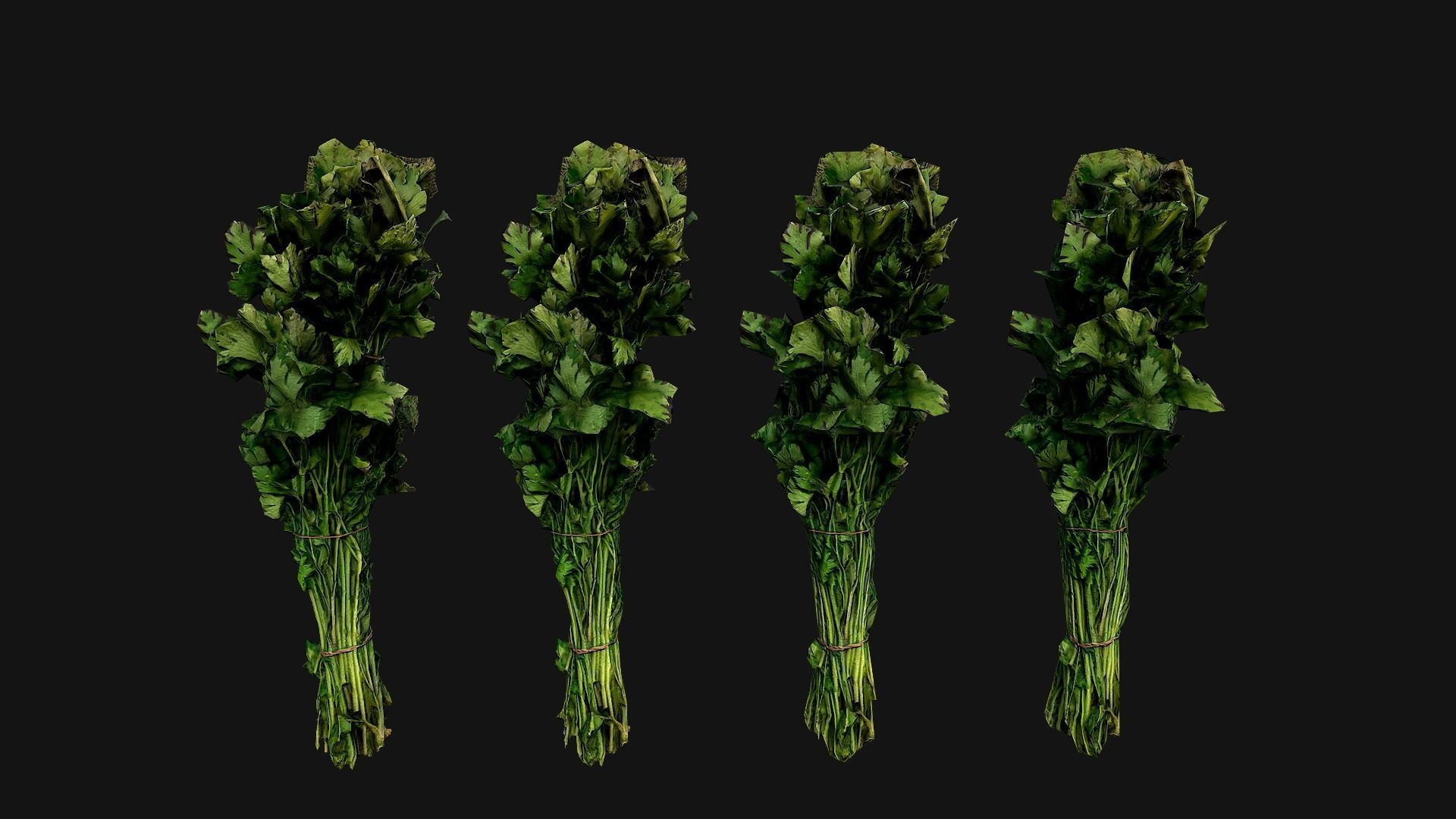 Dill Parsley Onion Green Low-poly 3D model_3