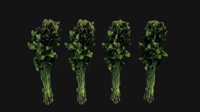 Dill Parsley Onion Green Farm Village Food Low-poly 3D model 3