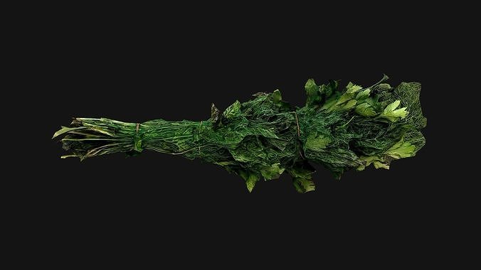 Dill Parsley Onion Green Farm Village Food Low-poly 3D model 6