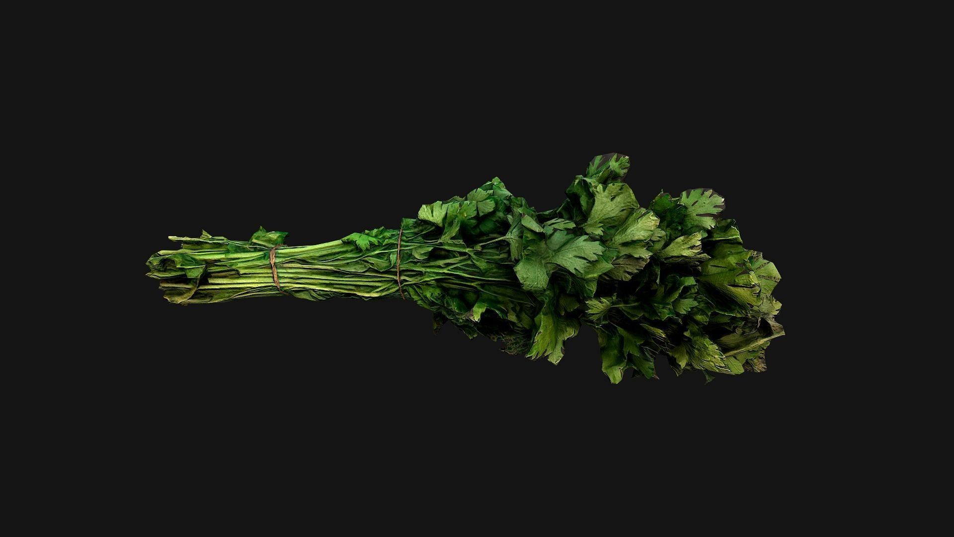 Dill Parsley Onion Green Low-poly 3D model_11