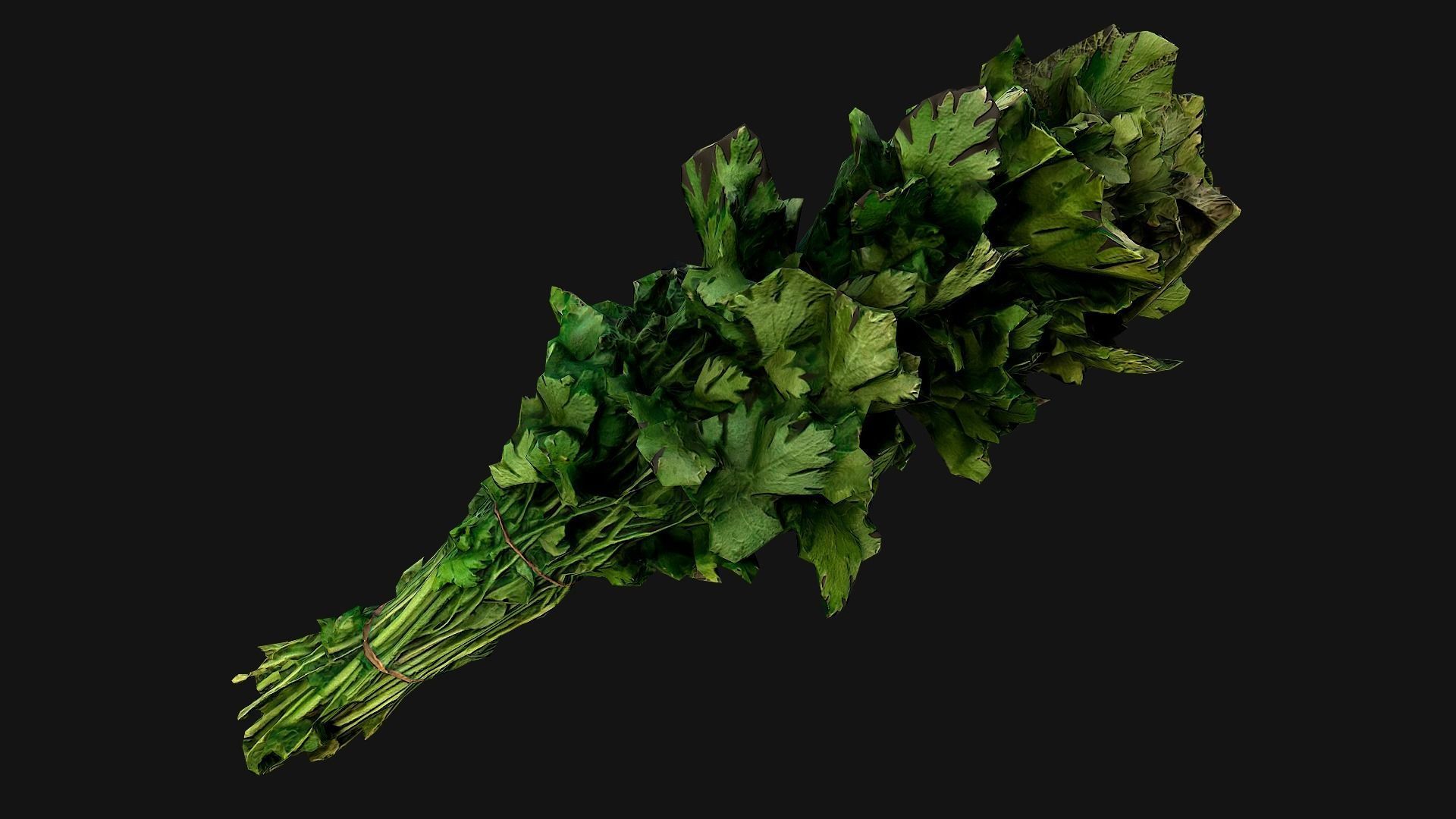 Dill Parsley Onion Green Low-poly 3D model_15