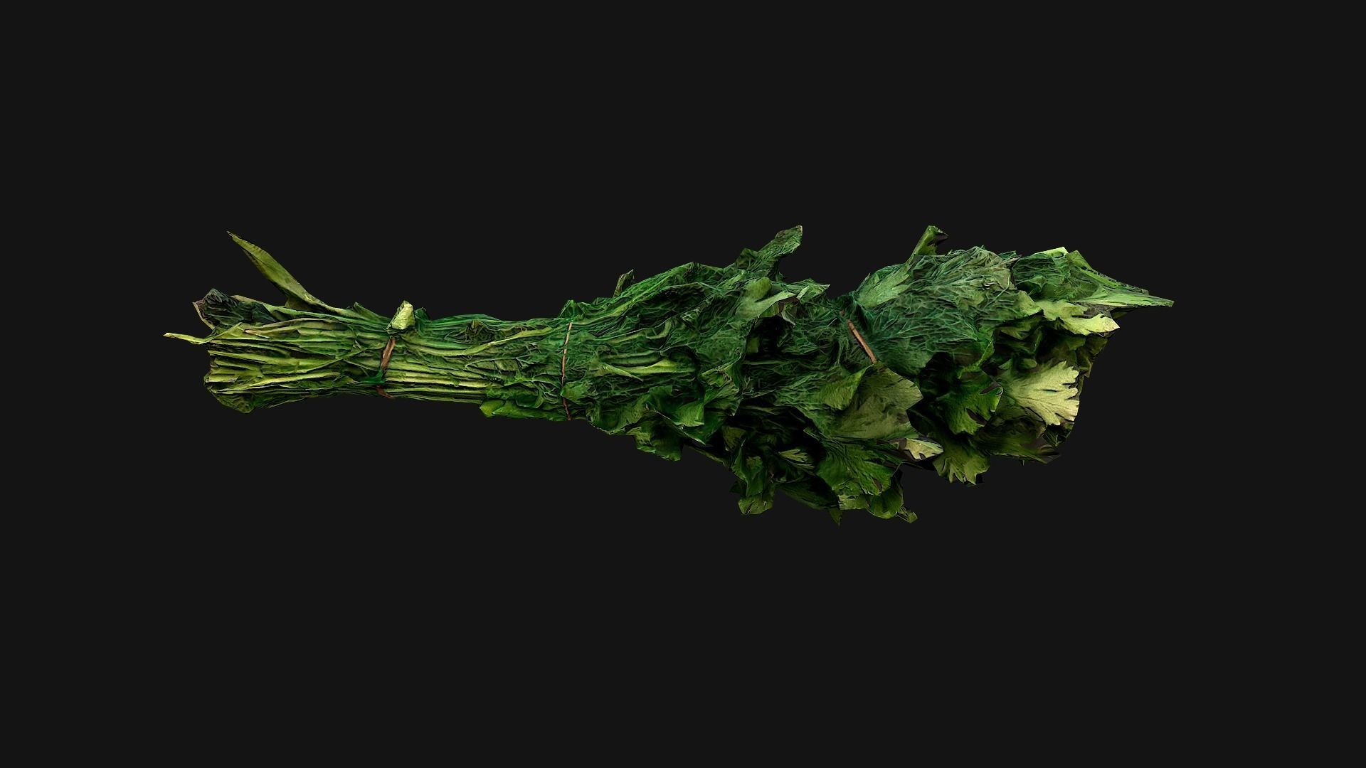 Dill Parsley Onion Green Low-poly 3D model_9