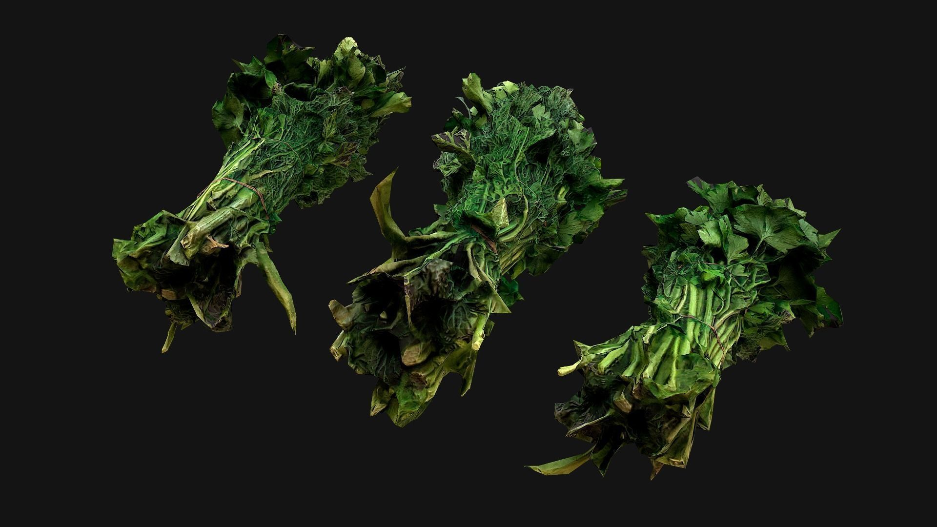 Dill Parsley Onion Green Low-poly 3D model_19