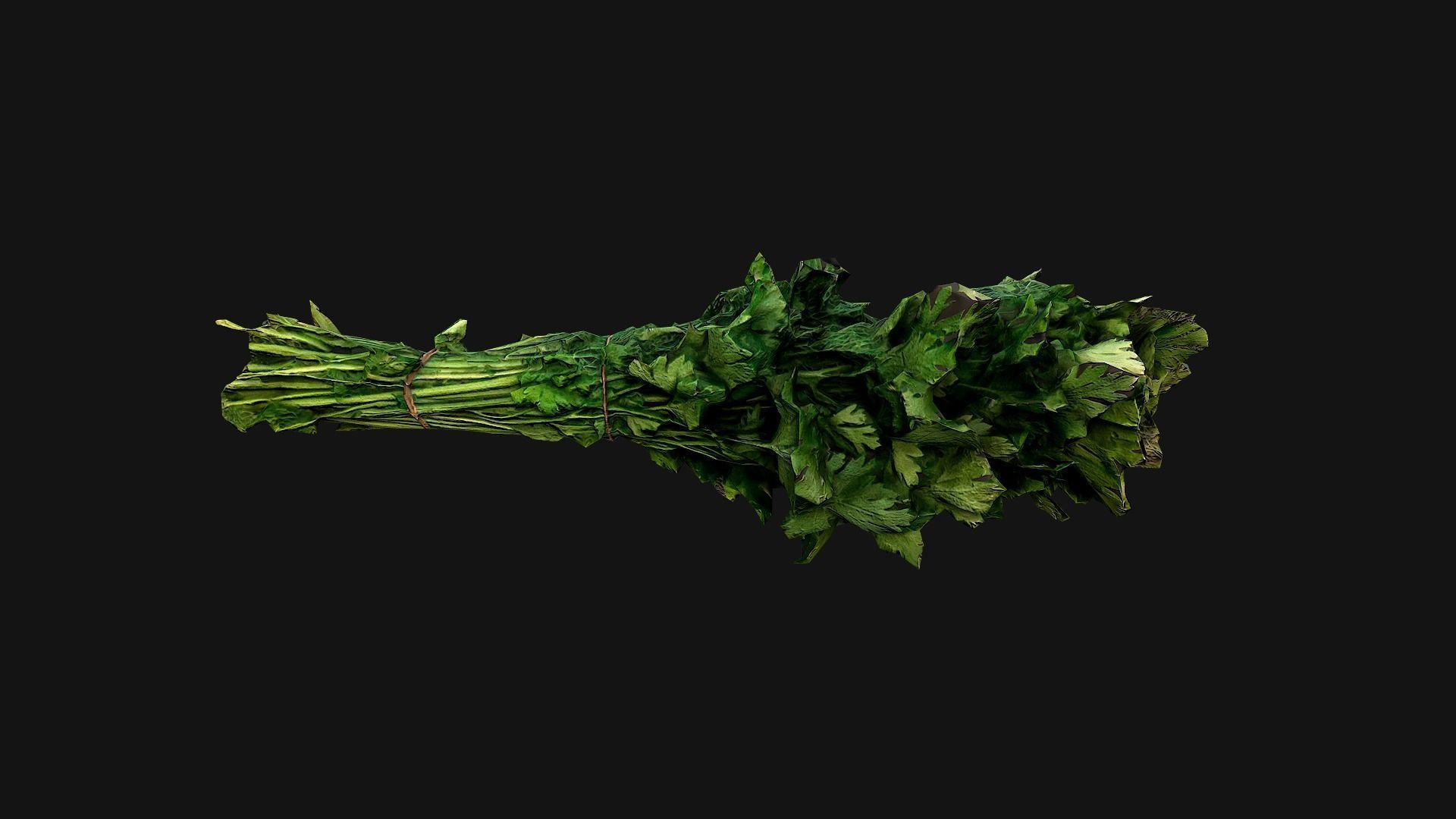 Dill Parsley Onion Green Low-poly 3D model_10
