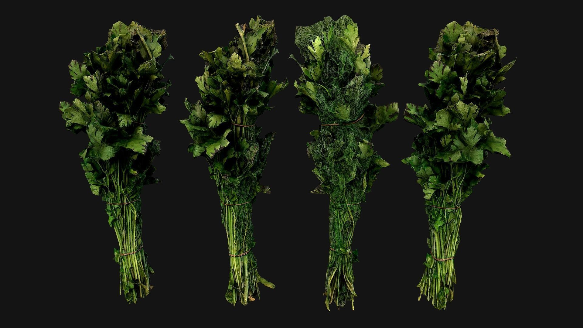 Dill Parsley Onion Green Low-poly 3D model_4
