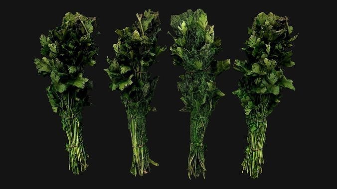 Dill Parsley Onion Green Farm Village Food Low-poly 3D model 4