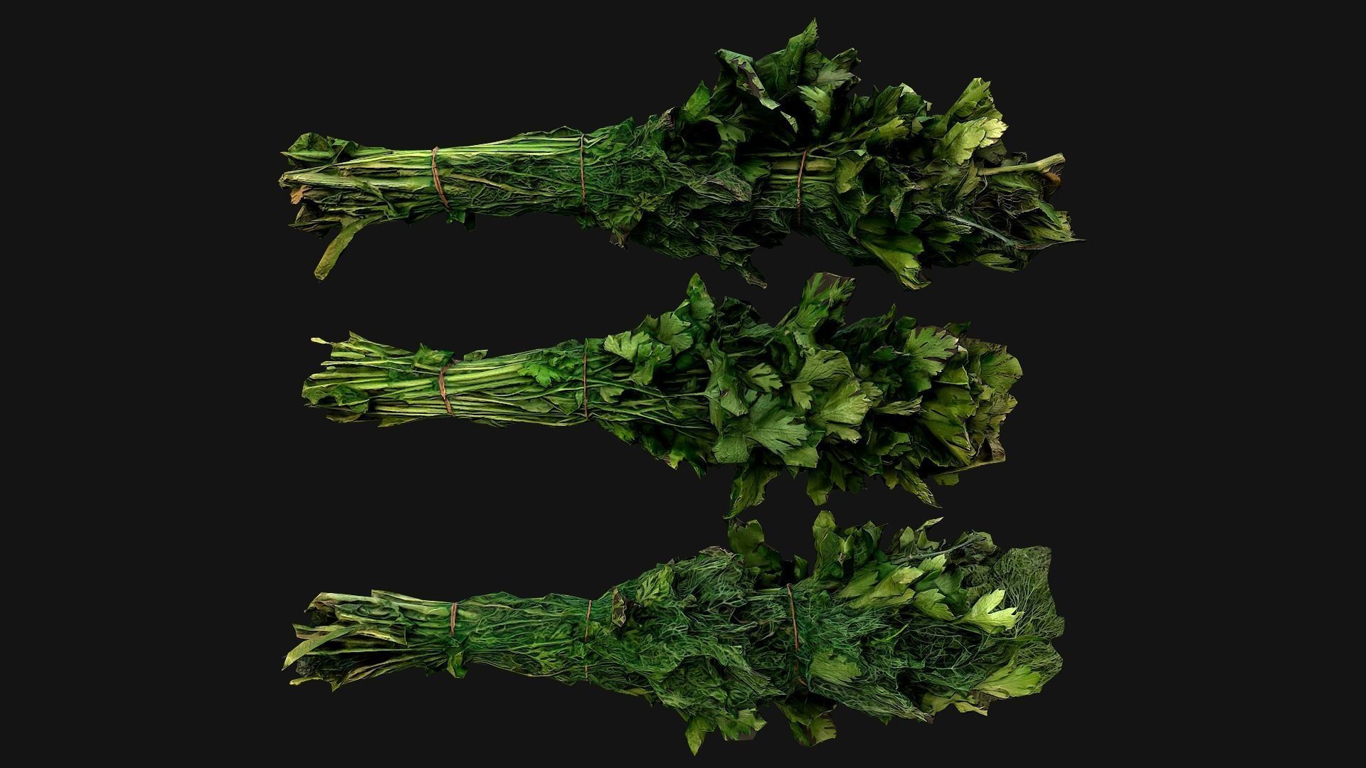 Dill Parsley Onion Green Low-poly 3D model_5