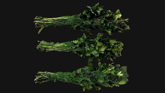 Dill Parsley Onion Green Farm Village Food Low-poly 3D model 5