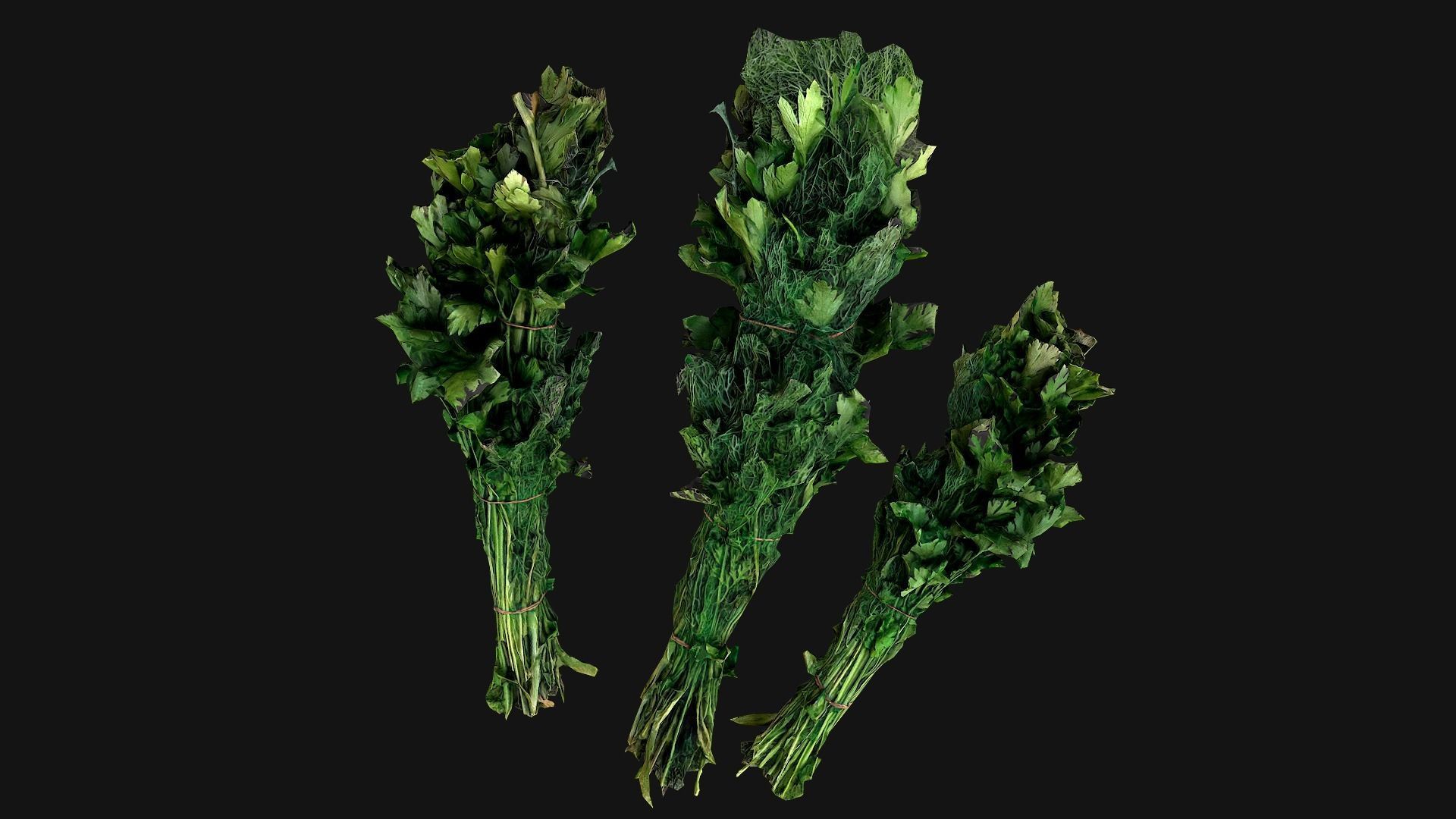 Dill Parsley Onion Green Low-poly 3D model_20