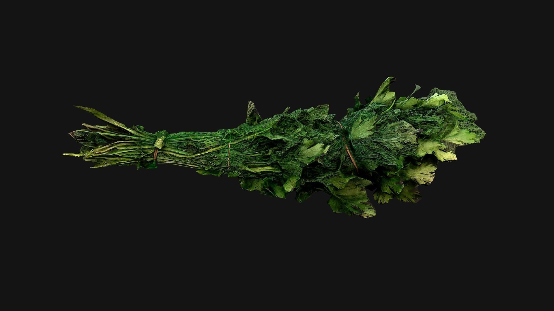 Dill Parsley Onion Green Low-poly 3D model_14