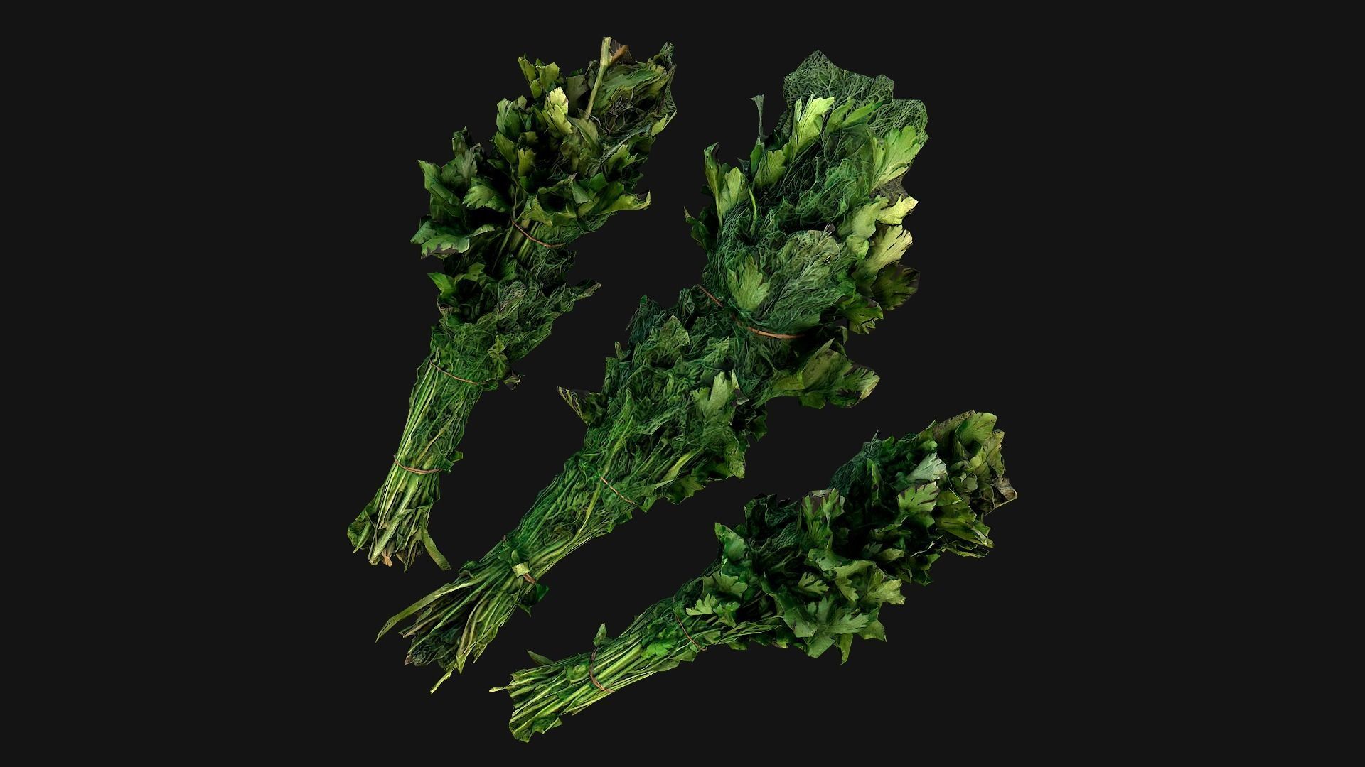 Dill Parsley Onion Green Low-poly 3D model_18