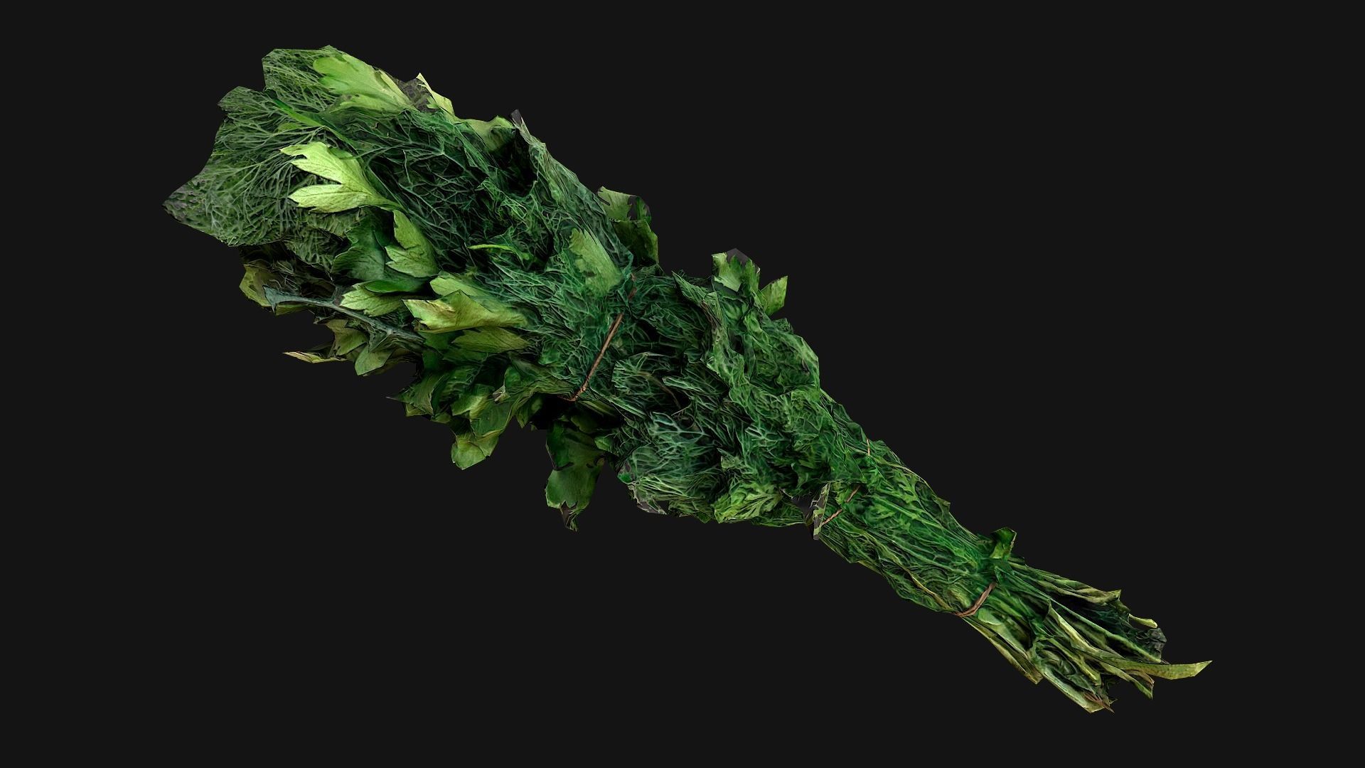 Dill Parsley Onion Green Low-poly 3D model_17