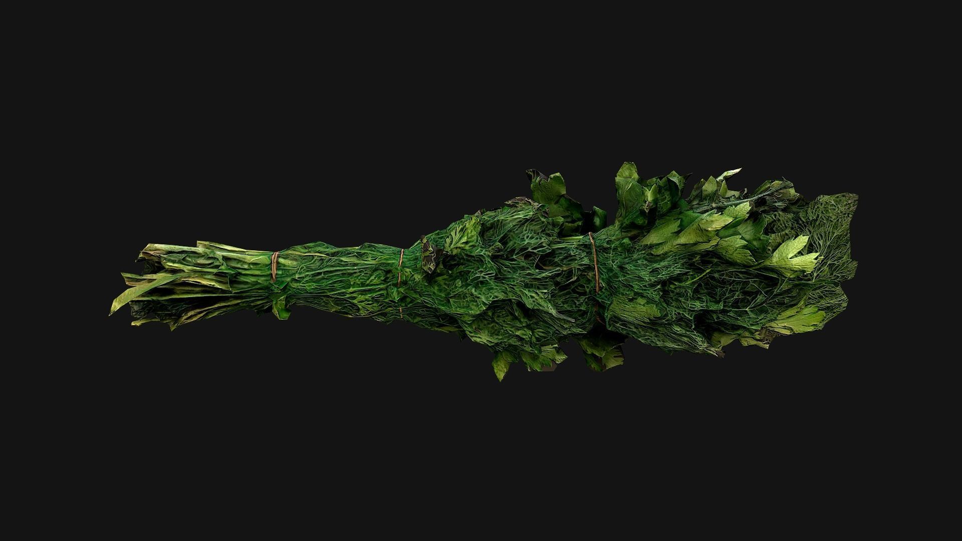 Dill Parsley Onion Green Low-poly 3D model_13