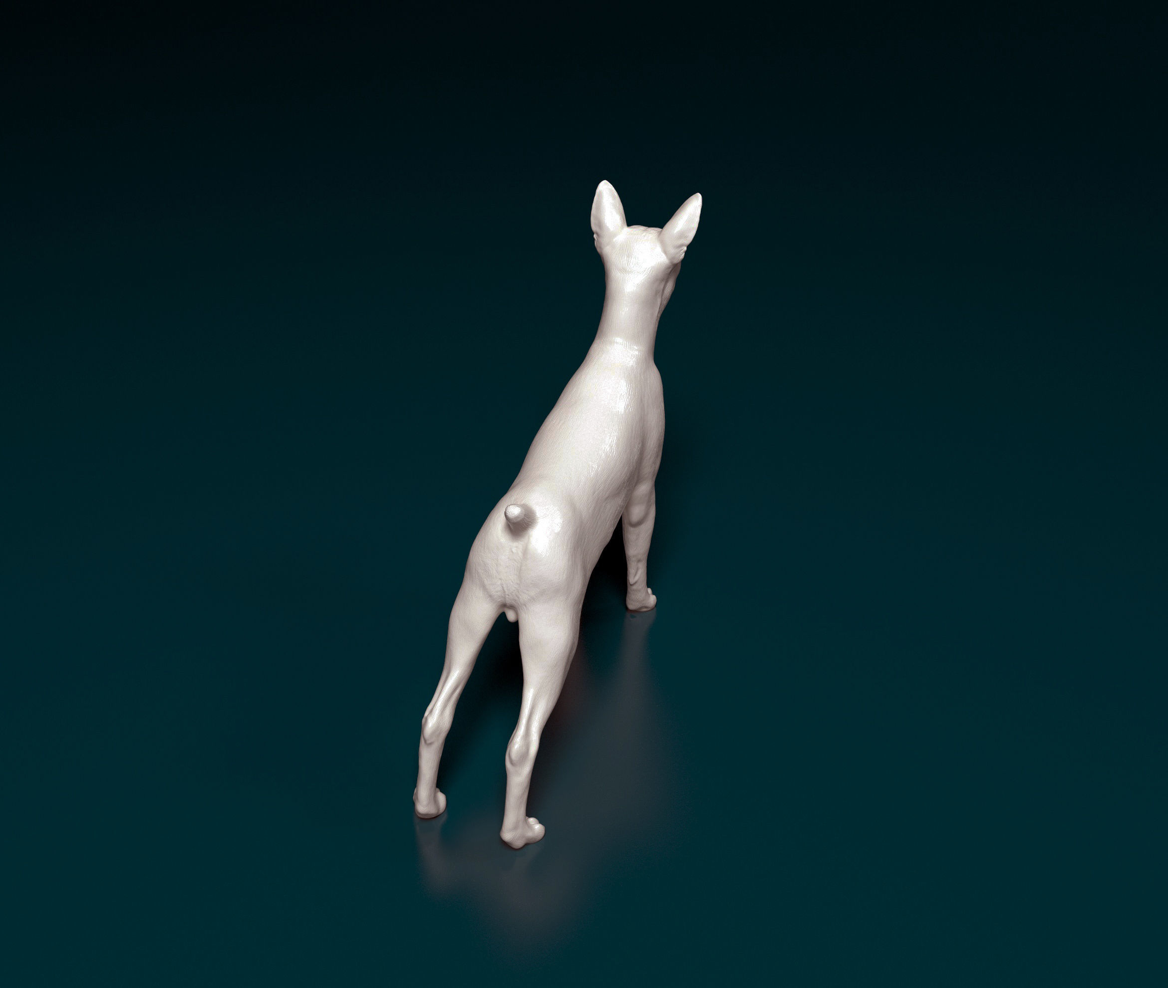 Zwerg Pinscher dog 3D print model_2