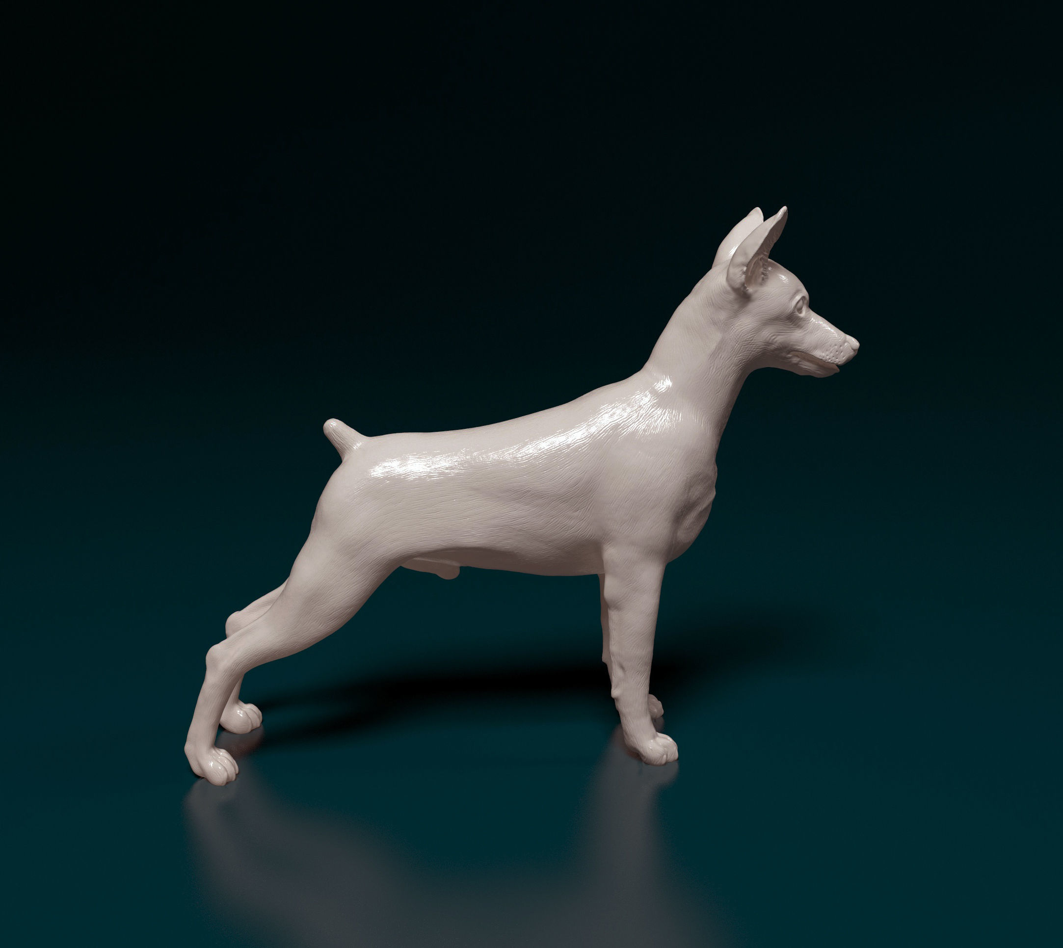 Zwerg Pinscher dog 3D print model_1