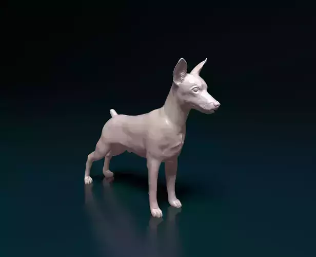 Zwerg Pinscher dog 3D print model
