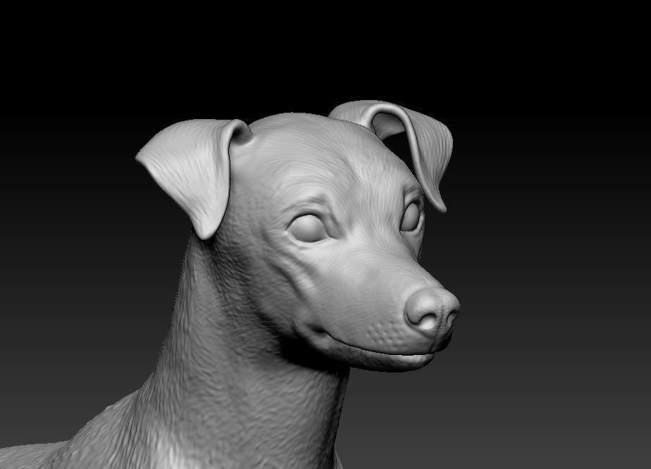 Zwerg Pinscher dog 3D print model_5