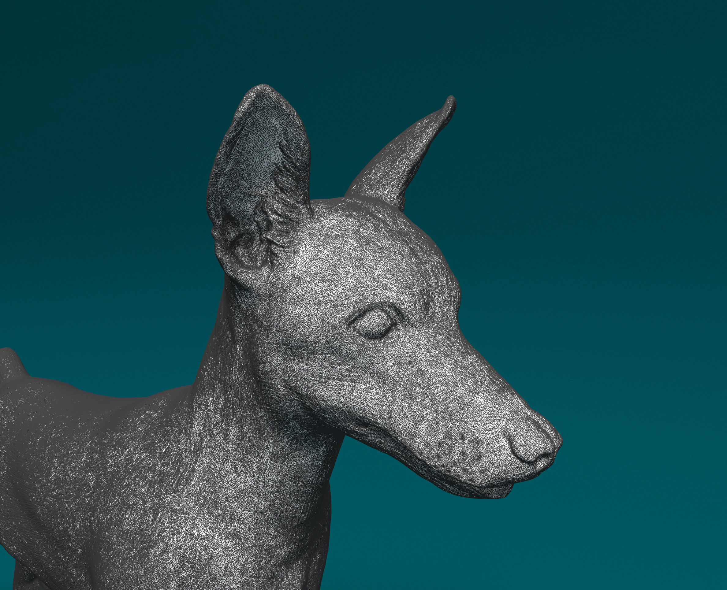 Zwerg Pinscher dog 3D print model_8