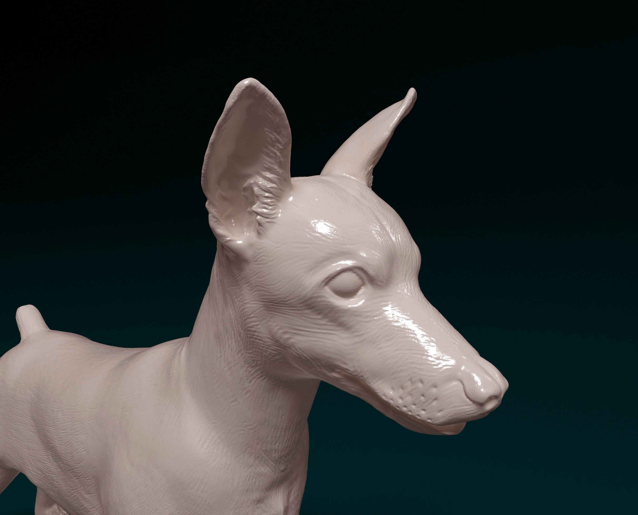 Zwerg Pinscher dog 3D print model_4