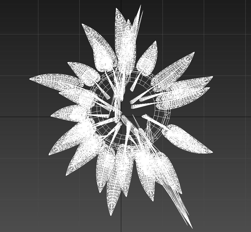 Bird of paradise plant 3D model_12