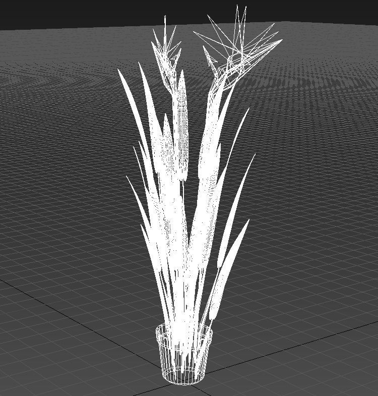 Bird of paradise plant 3D model_15