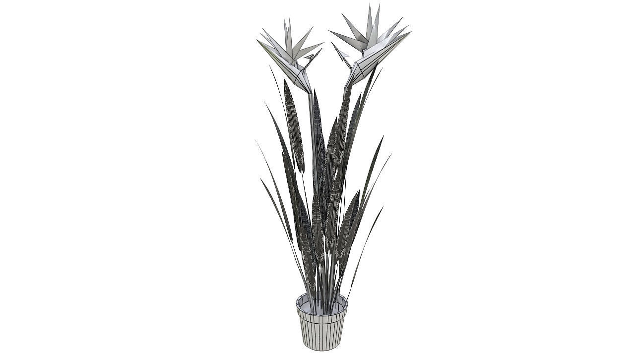 Bird of paradise plant 3D model_11
