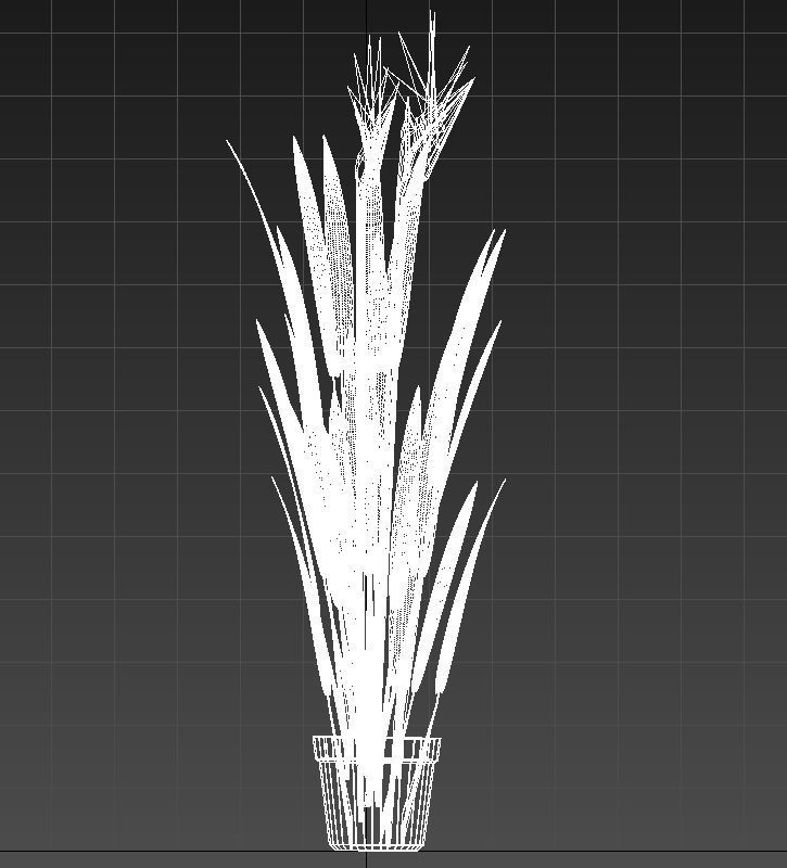 Bird of paradise plant 3D model_13