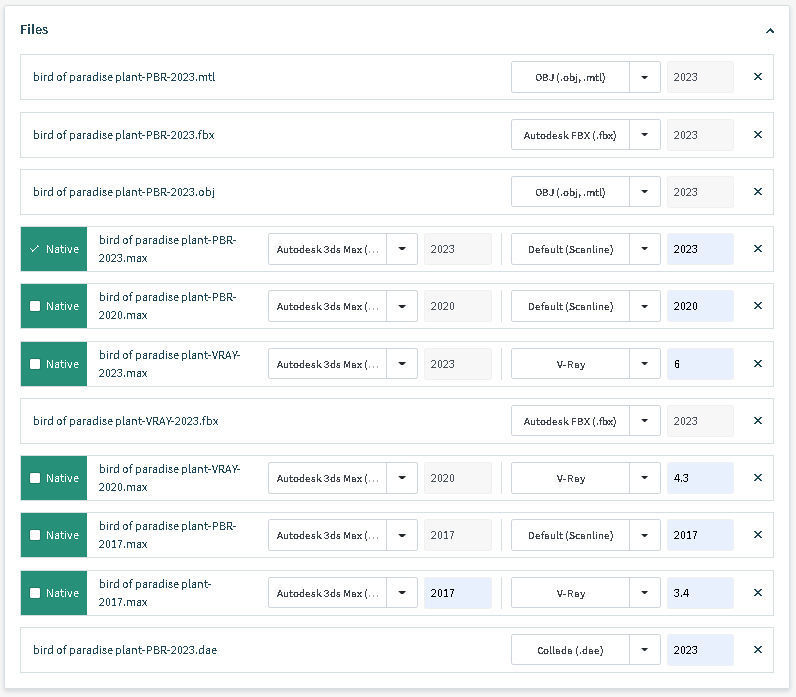 Bird of paradise plant 3D model_17