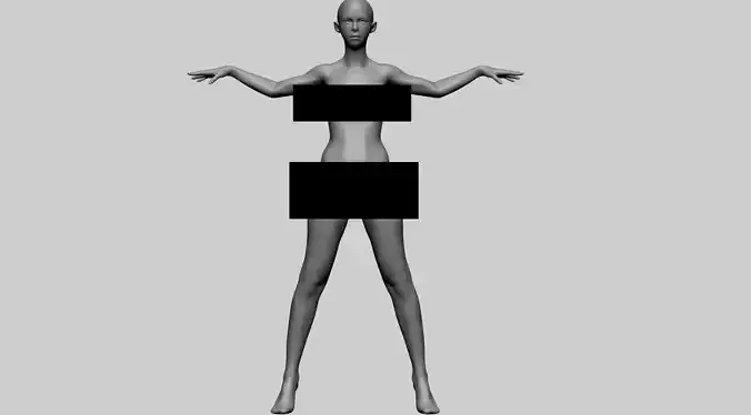 Stylized Female Anatomy A 3D model