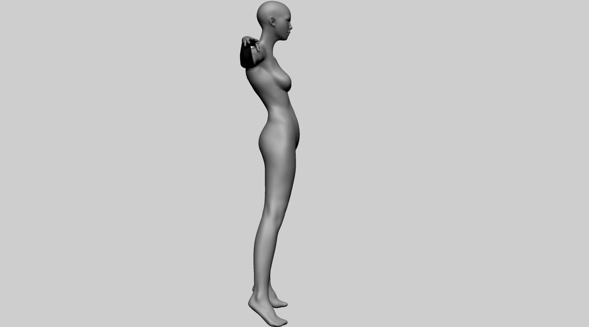 Stylized Female Anatomy A 3D model_3