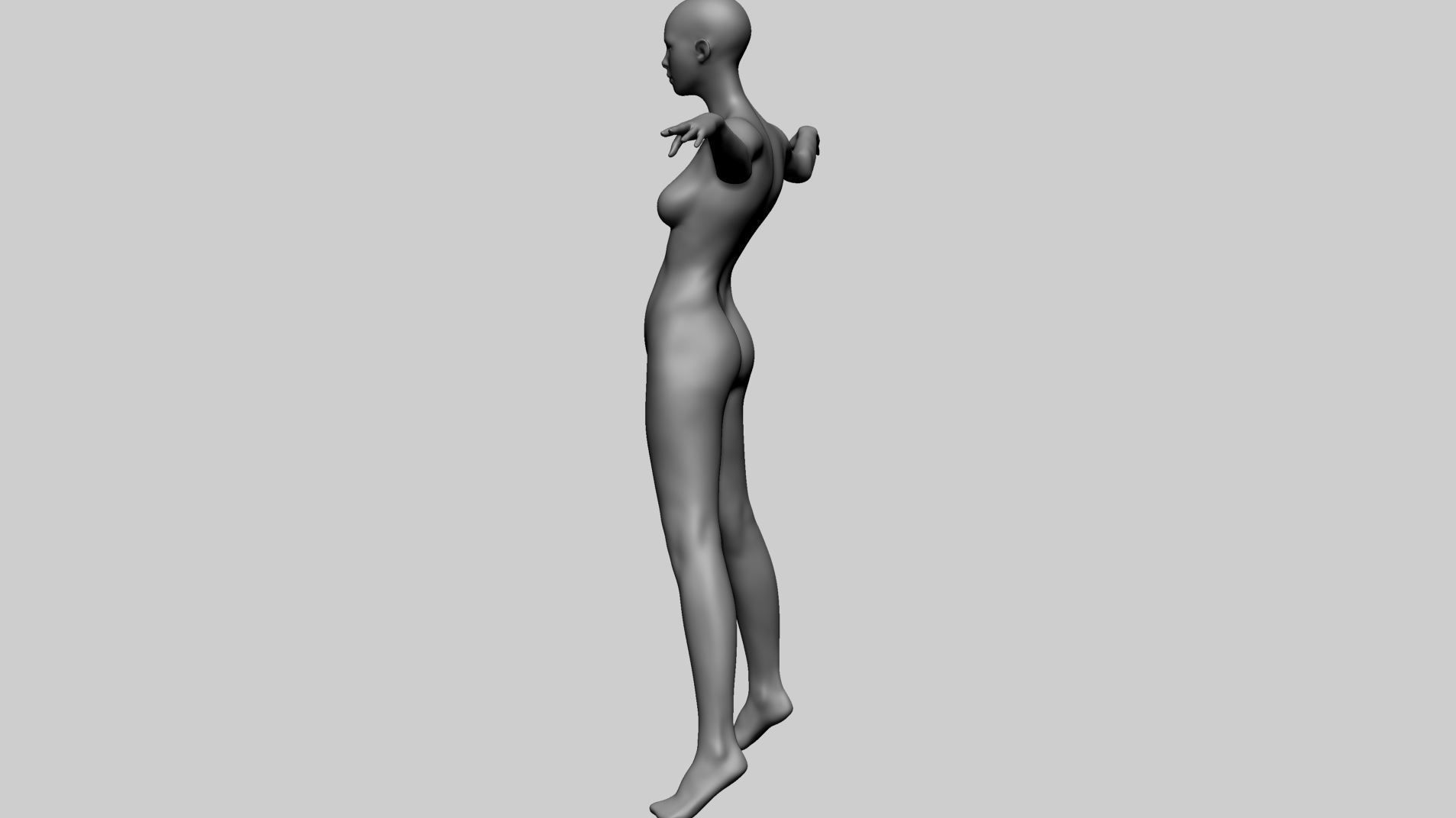 Stylized Female Anatomy A 3D model_7