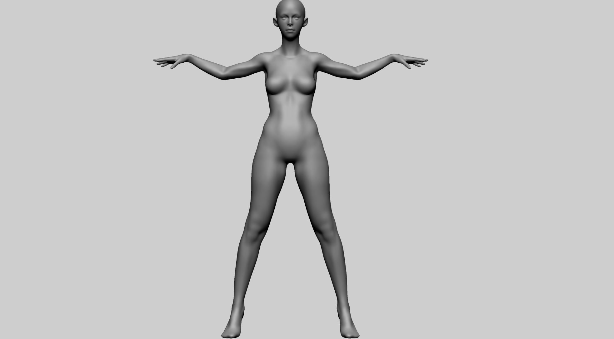 Stylized Female Anatomy A 3D model_1