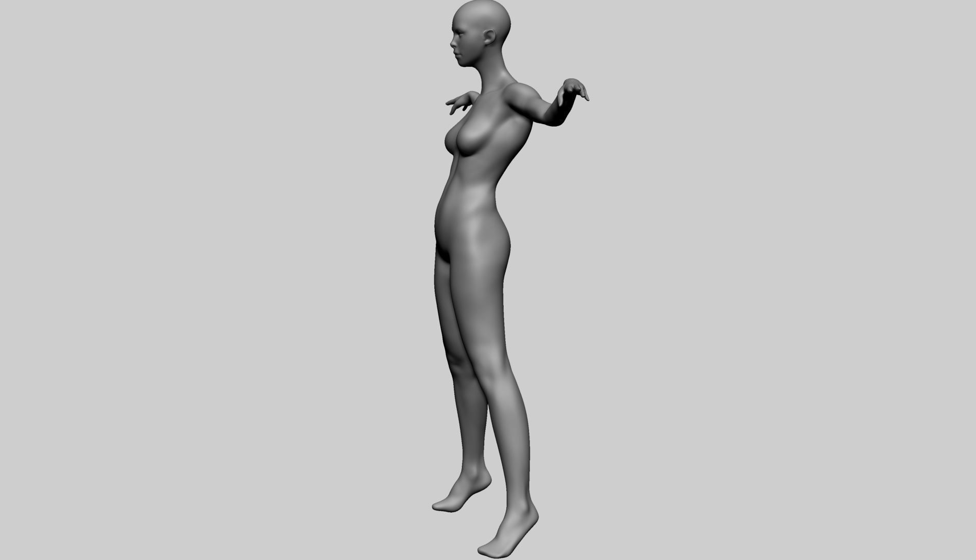 Stylized Female Anatomy A 3D model_8