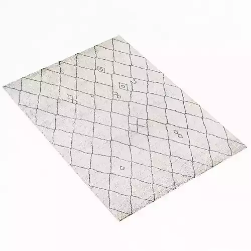 Restoration Hardware rug