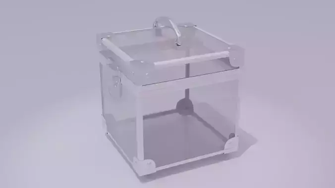 Cosmetic storage box