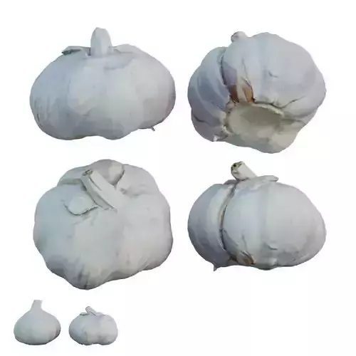 Garlic