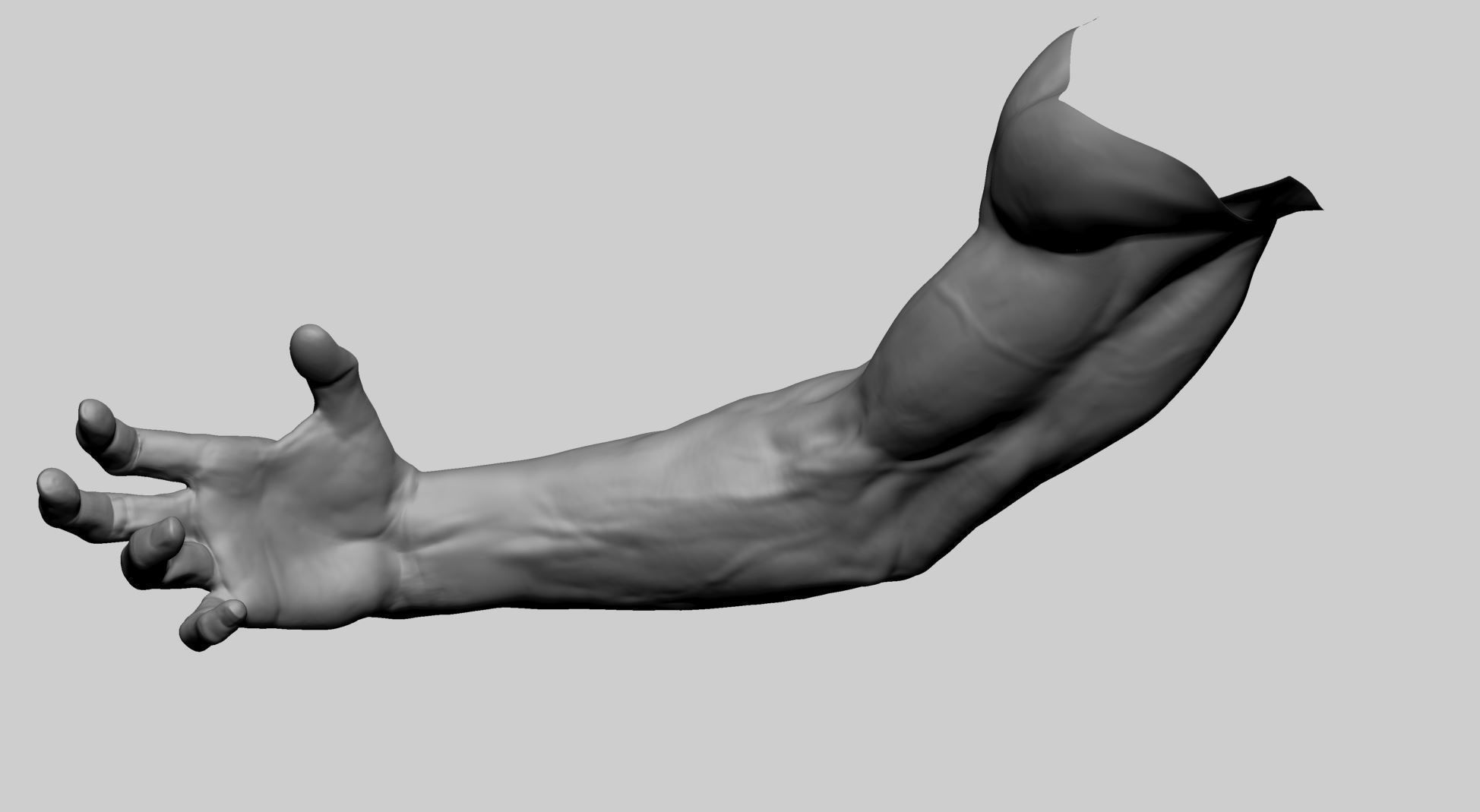 Arm Model A human with hand outstretched 3D model_7