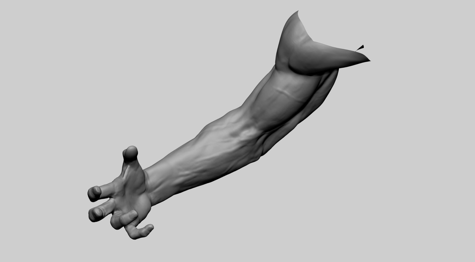Arm Model A human with hand outstretched 3D model_6