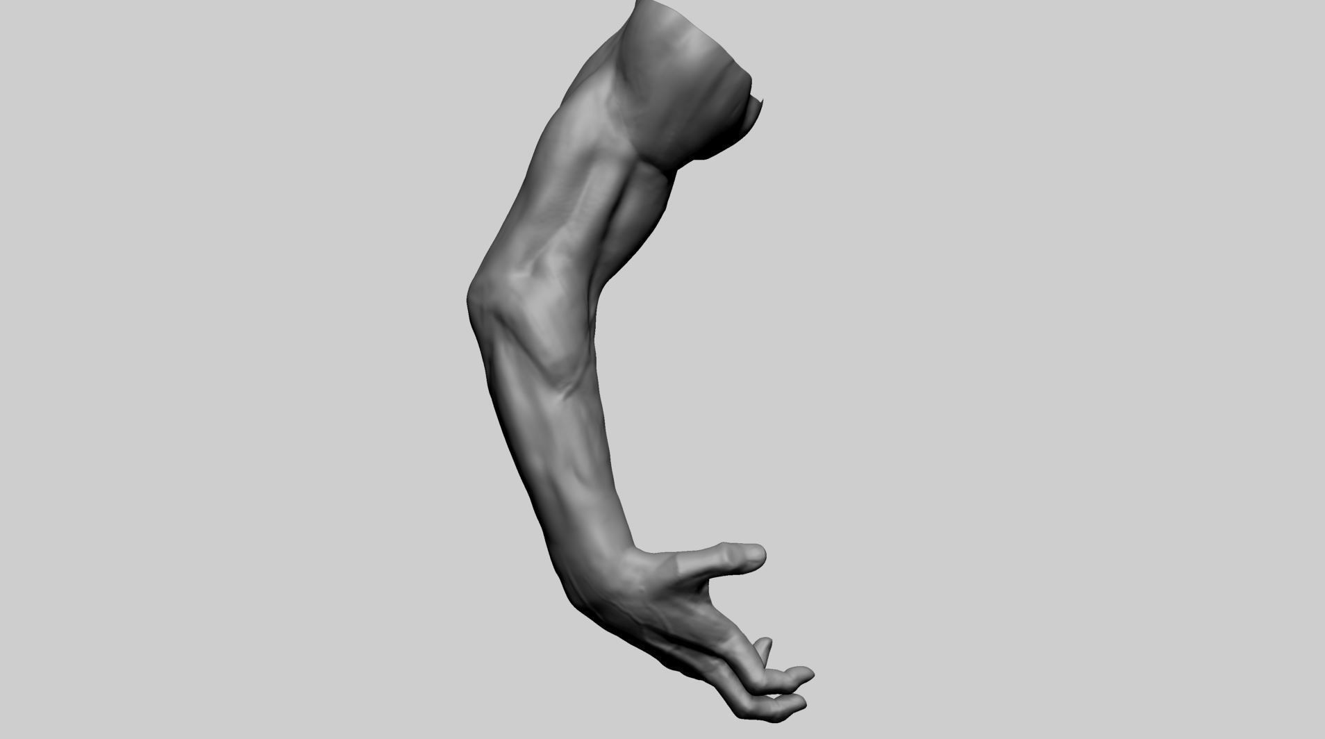 Arm Model A human with hand outstretched 3D model_3