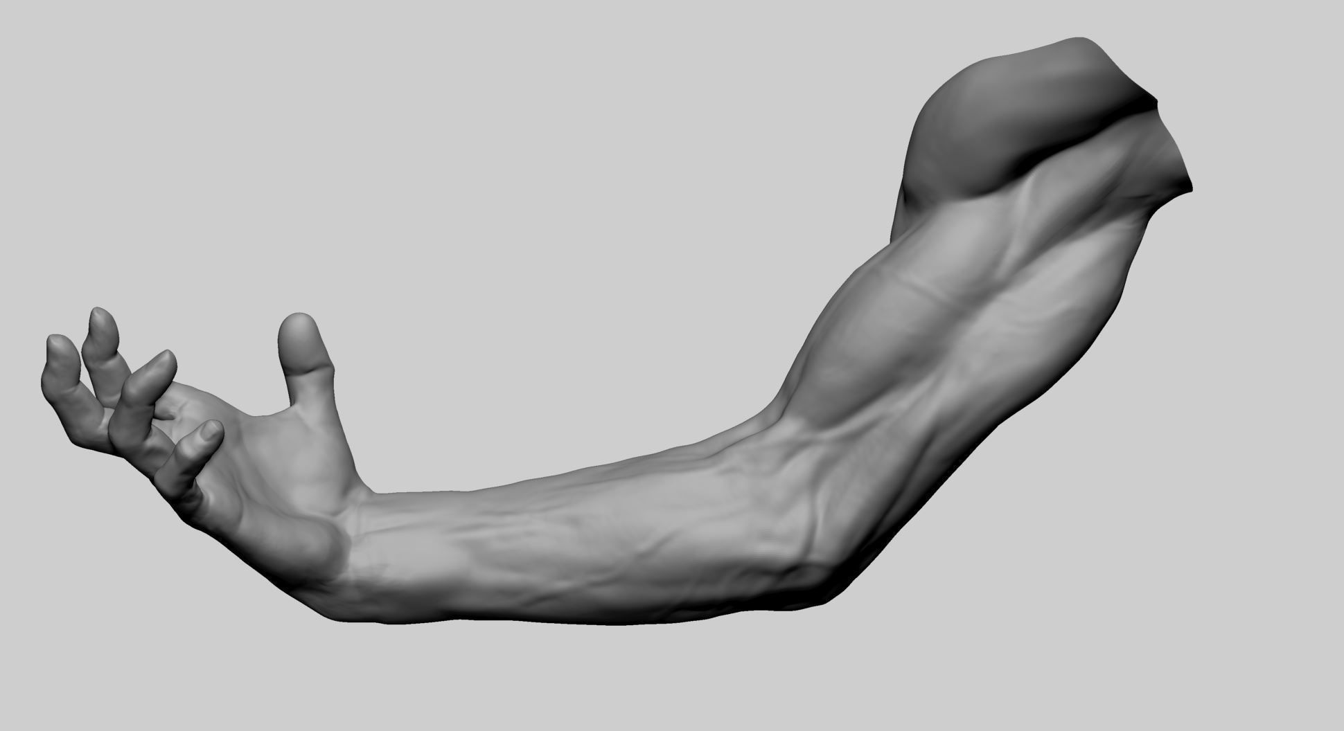 Arm Model A human with hand outstretched 3D model_8