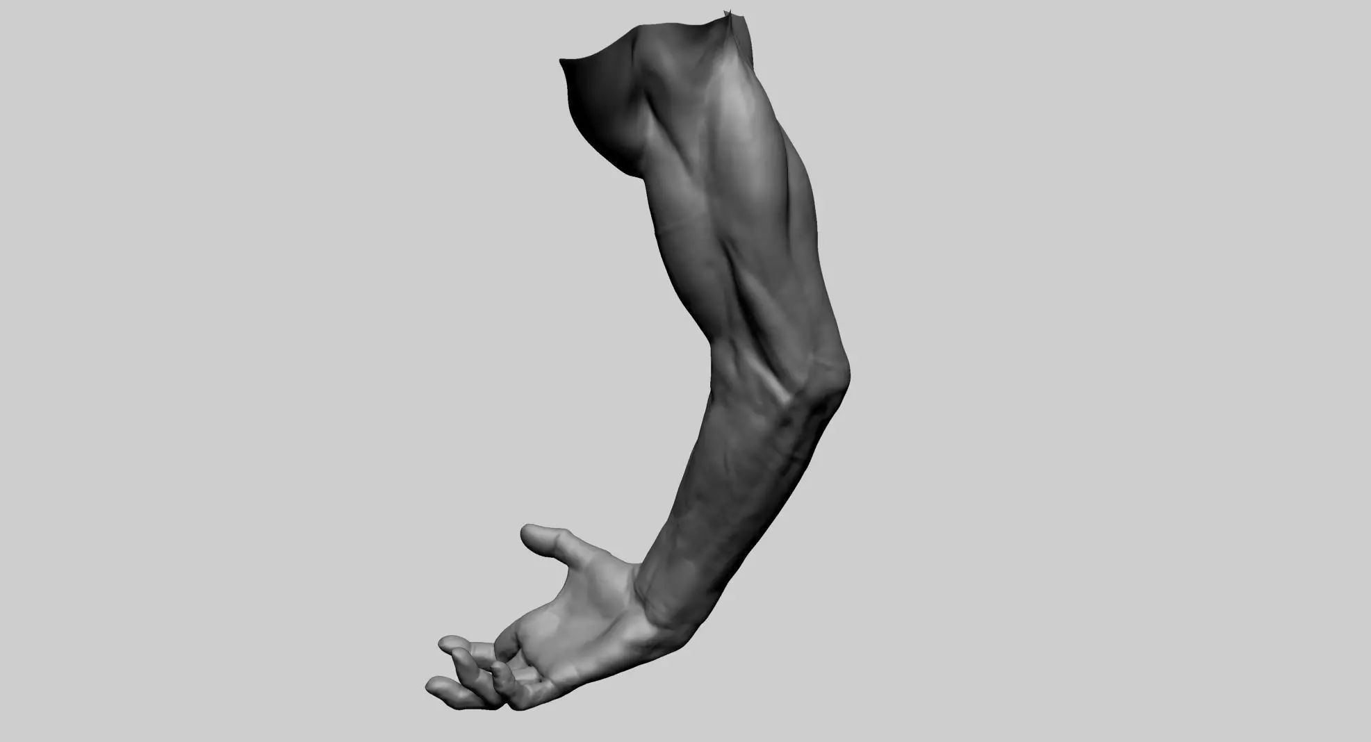 Arm Model A human with hand outstretched 3D model_0
